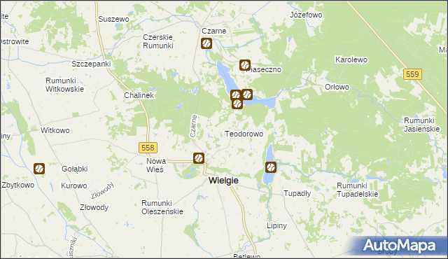 mapa Teodorowo gmina Wielgie, Teodorowo gmina Wielgie na mapie Targeo