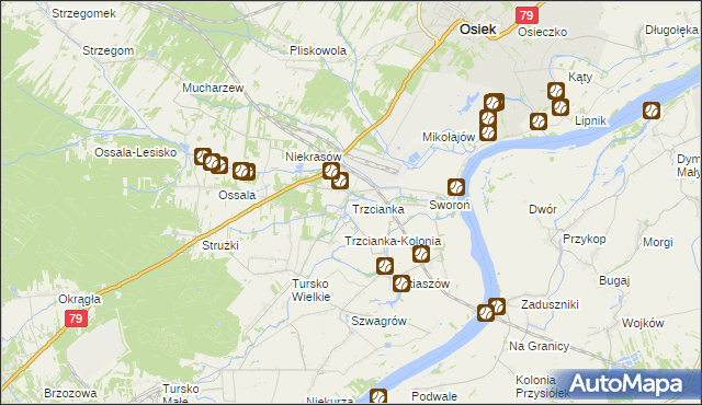 mapa Trzcianka gmina Osiek, Trzcianka gmina Osiek na mapie Targeo