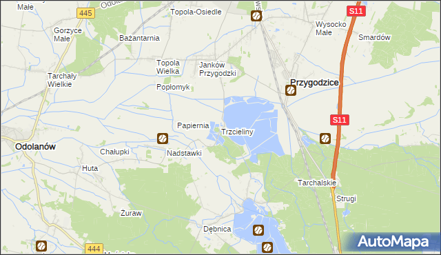 mapa Trzcieliny gmina Przygodzice, Trzcieliny gmina Przygodzice na mapie Targeo