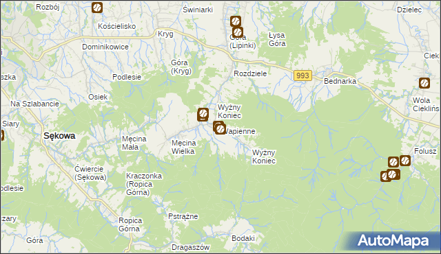 mapa Wapienne, Wapienne na mapie Targeo