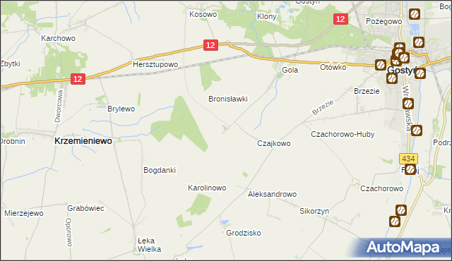 mapa Witoldowo gmina Gostyń, Witoldowo gmina Gostyń na mapie Targeo