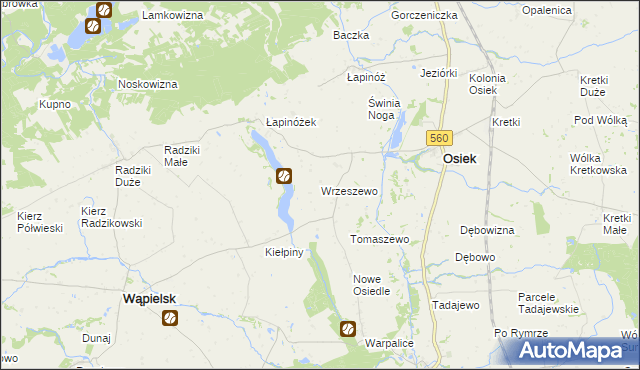 mapa Wrzeszewo, Wrzeszewo na mapie Targeo