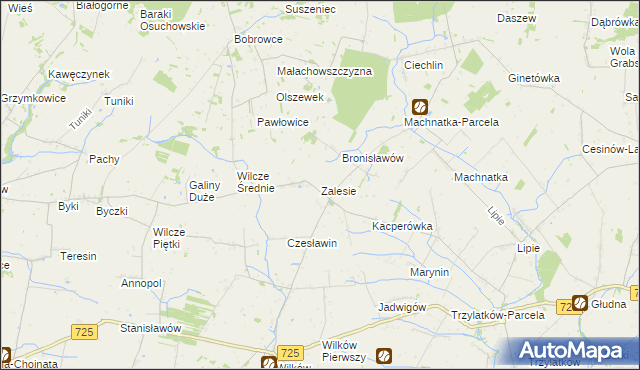 mapa Zalesie gmina Błędów, Zalesie gmina Błędów na mapie Targeo