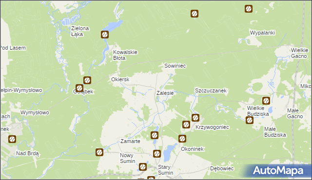 mapa Zalesie gmina Cekcyn, Zalesie gmina Cekcyn na mapie Targeo