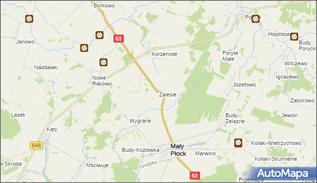 mapa Zalesie gmina Mały Płock, Zalesie gmina Mały Płock na mapie Targeo