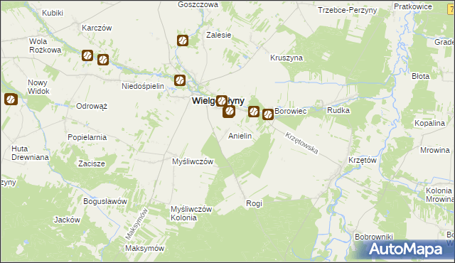 mapa Anielin gmina Wielgomłyny, Anielin gmina Wielgomłyny na mapie Targeo