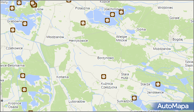 mapa Borzynowo gmina Milicz, Borzynowo gmina Milicz na mapie Targeo