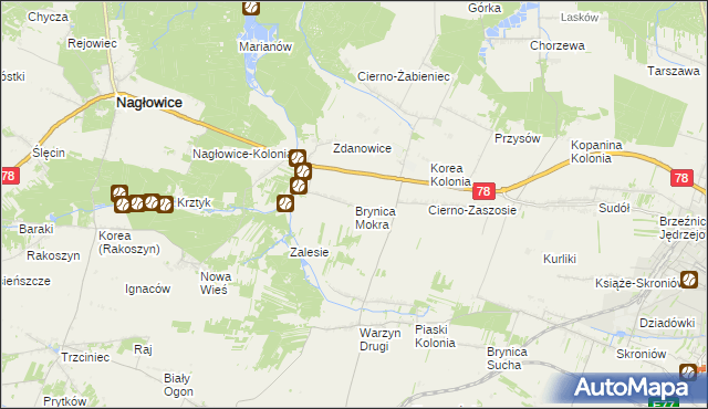 mapa Brynica Mokra, Brynica Mokra na mapie Targeo
