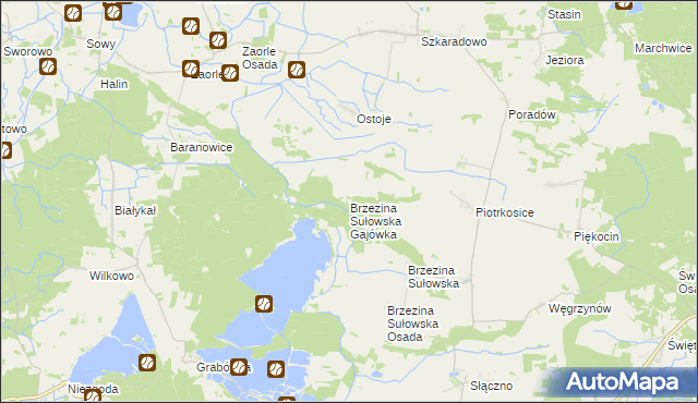 mapa Brzezina Sułowska Gajówka, Brzezina Sułowska Gajówka na mapie Targeo