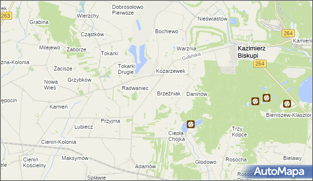 mapa Brzeźniak gmina Golina, Brzeźniak gmina Golina na mapie Targeo