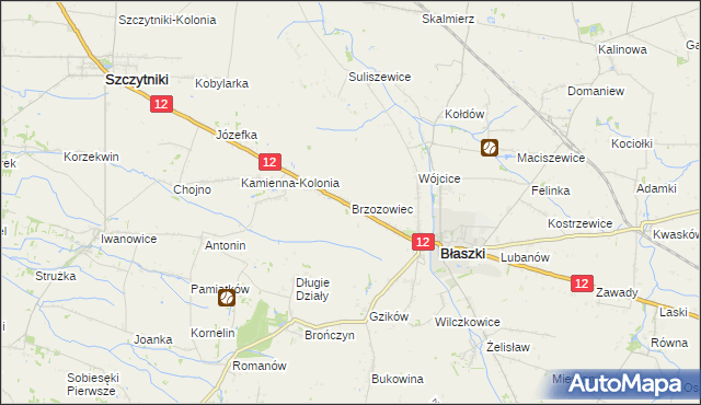 mapa Brzozowiec gmina Błaszki, Brzozowiec gmina Błaszki na mapie Targeo