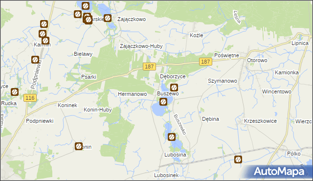 mapa Buszewo gmina Pniewy, Buszewo gmina Pniewy na mapie Targeo
