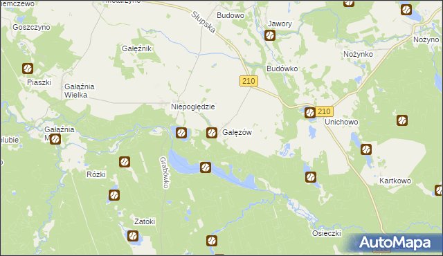 mapa Gałęzów gmina Dębnica Kaszubska, Gałęzów gmina Dębnica Kaszubska na mapie Targeo