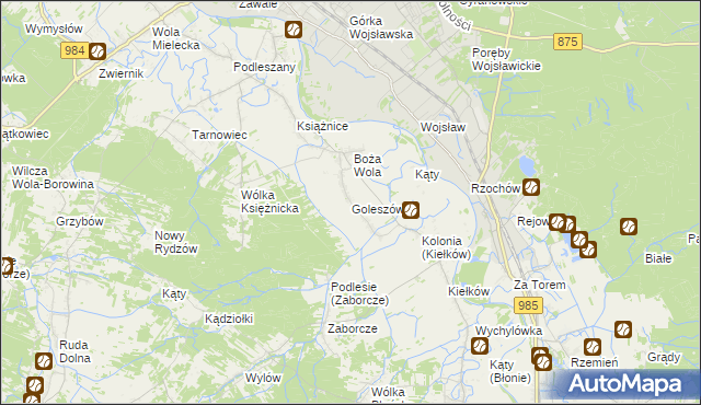 mapa Goleszów gmina Mielec, Goleszów gmina Mielec na mapie Targeo