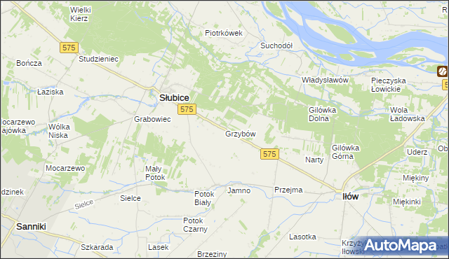 mapa Grzybów gmina Słubice, Grzybów gmina Słubice na mapie Targeo