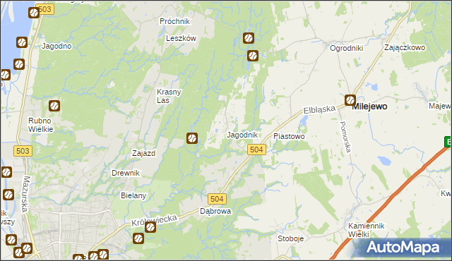 mapa Jagodnik gmina Milejewo, Jagodnik gmina Milejewo na mapie Targeo