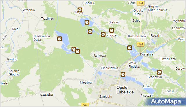 mapa Jankowa gmina Opole Lubelskie, Jankowa gmina Opole Lubelskie na mapie Targeo