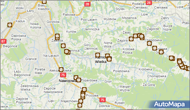 mapa Kamionka Wielka, Kamionka Wielka na mapie Targeo