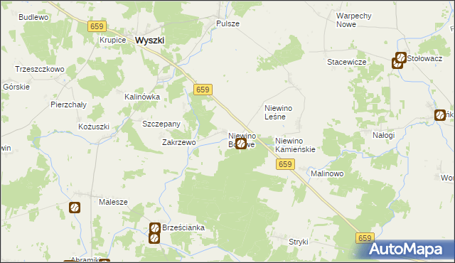 mapa Niewino Borowe, Niewino Borowe na mapie Targeo