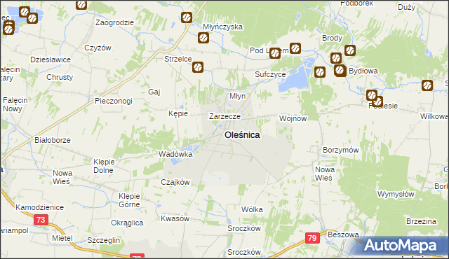 mapa Oleśnica powiat staszowski, Oleśnica powiat staszowski na mapie Targeo