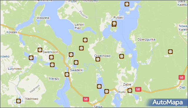 mapa Orzechowo gmina Olsztynek, Orzechowo gmina Olsztynek na mapie Targeo