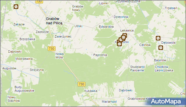 mapa Paprotnia gmina Grabów nad Pilicą, Paprotnia gmina Grabów nad Pilicą na mapie Targeo