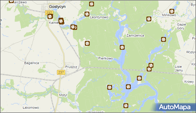 mapa Pieńkowo gmina Gostycyn, Pieńkowo gmina Gostycyn na mapie Targeo