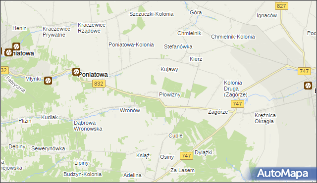 mapa Płowizny, Płowizny na mapie Targeo