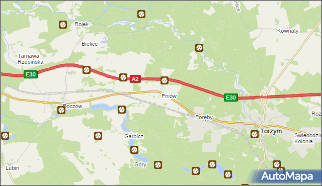 mapa Pniów gmina Torzym, Pniów gmina Torzym na mapie Targeo