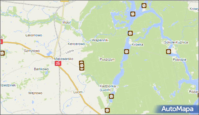 mapa Puszczyn gmina Koronowo, Puszczyn gmina Koronowo na mapie Targeo