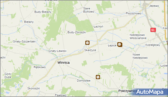 mapa Skarżyce gmina Winnica, Skarżyce gmina Winnica na mapie Targeo