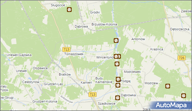 mapa Wincentynów, Wincentynów na mapie Targeo
