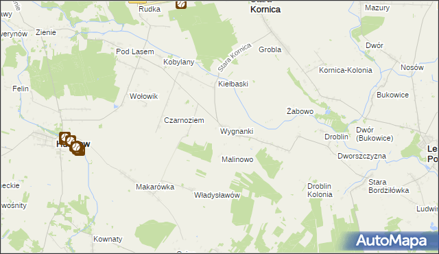 mapa Wygnanki, Wygnanki na mapie Targeo