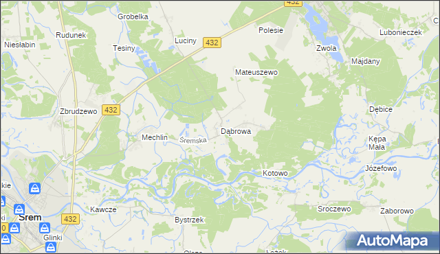 mapa Dąbrowa gmina Śrem, Dąbrowa gmina Śrem na mapie Targeo