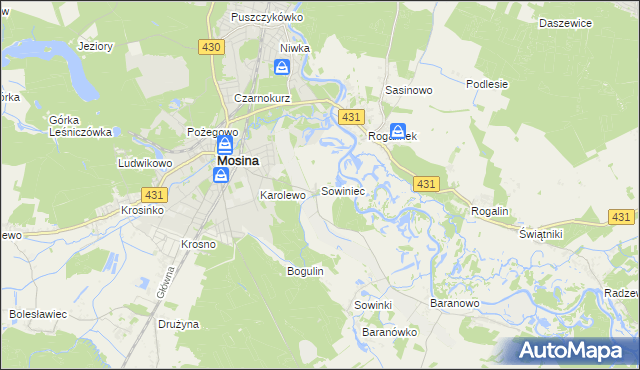 mapa Sowiniec gmina Mosina, Sowiniec gmina Mosina na mapie Targeo