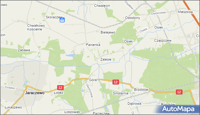 mapa Zalesie gmina Jaraczewo, Zalesie gmina Jaraczewo na mapie Targeo