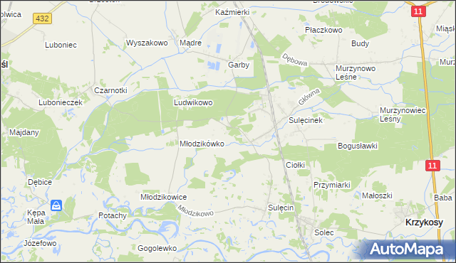 mapa Borowo gmina Krzykosy, Borowo gmina Krzykosy na mapie Targeo