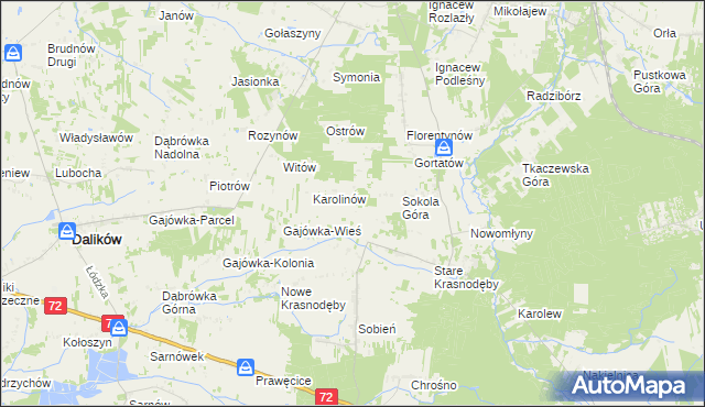 mapa Anastazew gmina Parzęczew, Anastazew gmina Parzęczew na mapie Targeo
