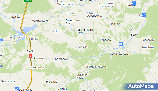 mapa Anielin gmina Skaryszew, Anielin gmina Skaryszew na mapie Targeo