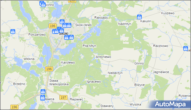 mapa Antoniewo gmina Skoki, Antoniewo gmina Skoki na mapie Targeo