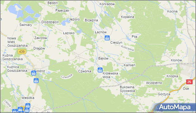 mapa Bąków gmina Międzybórz, Bąków gmina Międzybórz na mapie Targeo