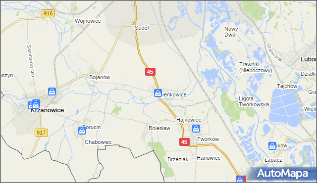 mapa Bieńkowice gmina Krzyżanowice, Bieńkowice gmina Krzyżanowice na mapie Targeo