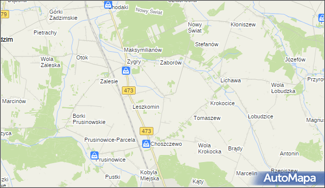 mapa Bogucice gmina Zadzim, Bogucice gmina Zadzim na mapie Targeo