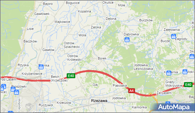 mapa Borek gmina Rzezawa, Borek gmina Rzezawa na mapie Targeo