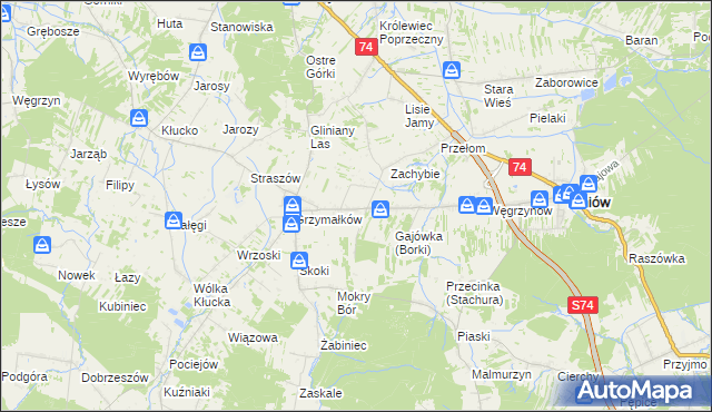 mapa Borki gmina Mniów, Borki gmina Mniów na mapie Targeo