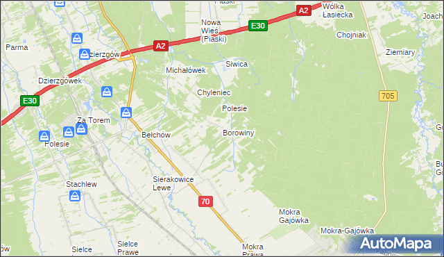 mapa Borowiny gmina Skierniewice, Borowiny gmina Skierniewice na mapie Targeo