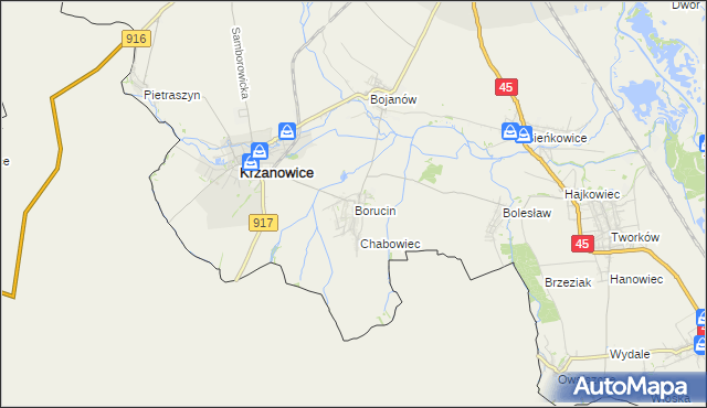 mapa Borucin gmina Krzanowice, Borucin gmina Krzanowice na mapie Targeo