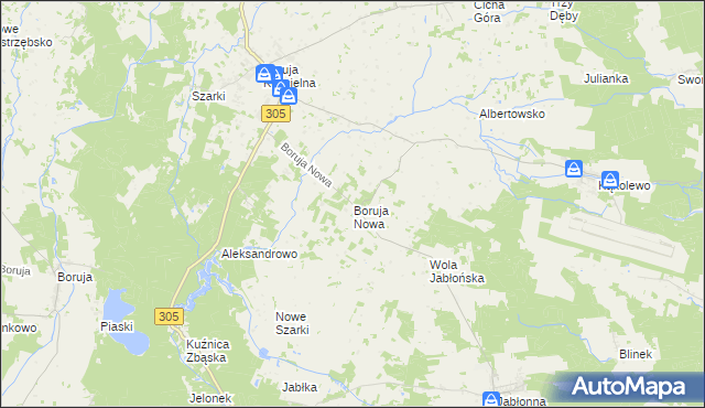 mapa Boruja Nowa, Boruja Nowa na mapie Targeo