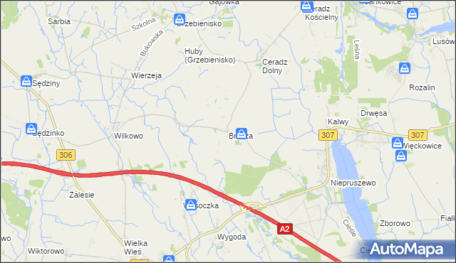 mapa Brzoza gmina Duszniki, Brzoza gmina Duszniki na mapie Targeo