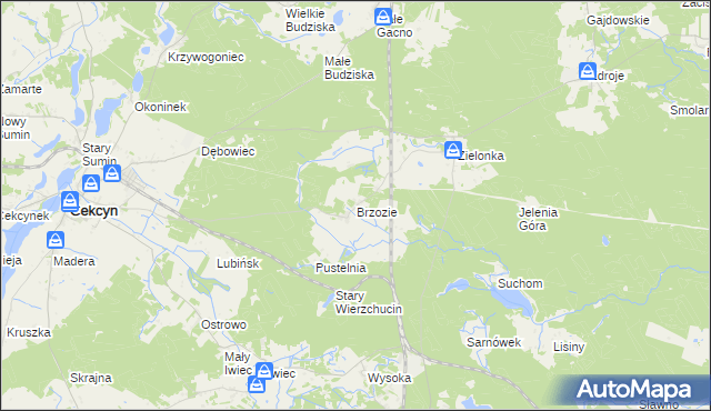 mapa Brzozie gmina Cekcyn, Brzozie gmina Cekcyn na mapie Targeo